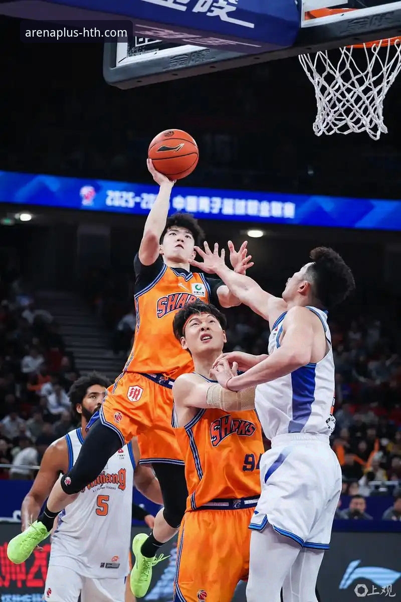 从上海男篮十二连胜看现代篮球的体系化胜利：一场华体会体育平台上的战术深度解析